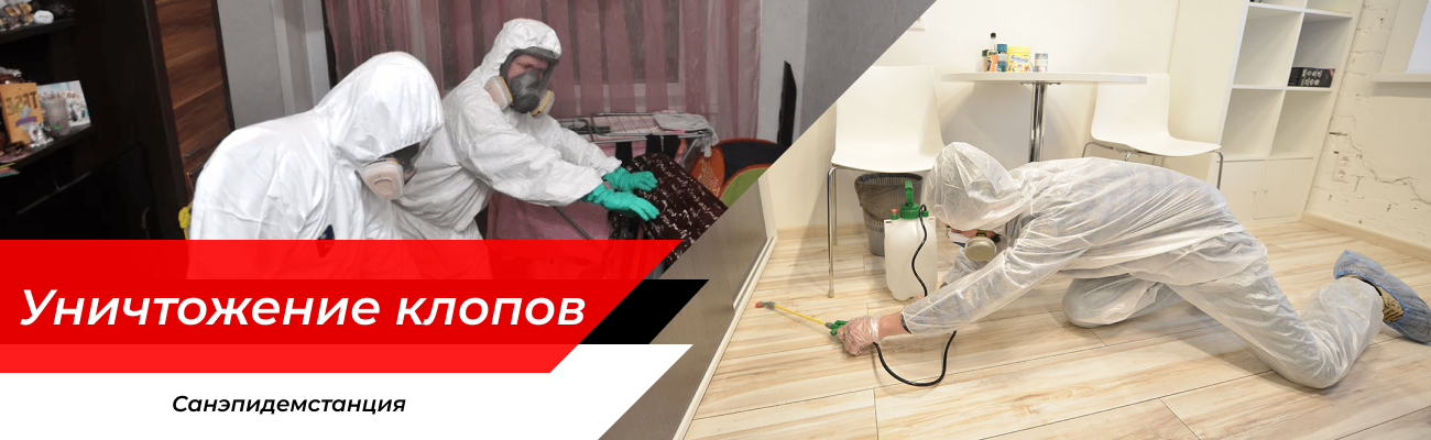 Уничтожение клопов Черноголовка